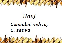 Hanf