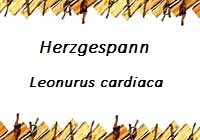 Herzgespann