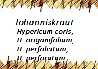Johanniskraut