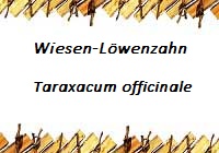 Löwenzahn