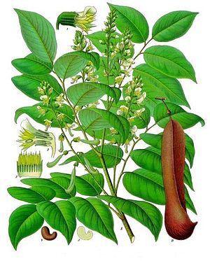 Perubalsam