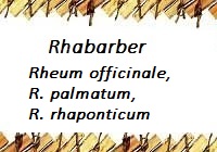 Rhabarber
