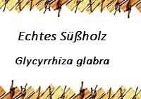 Süßholz