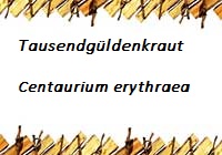 Tausendgüldenkraut