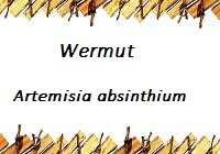 Wermut